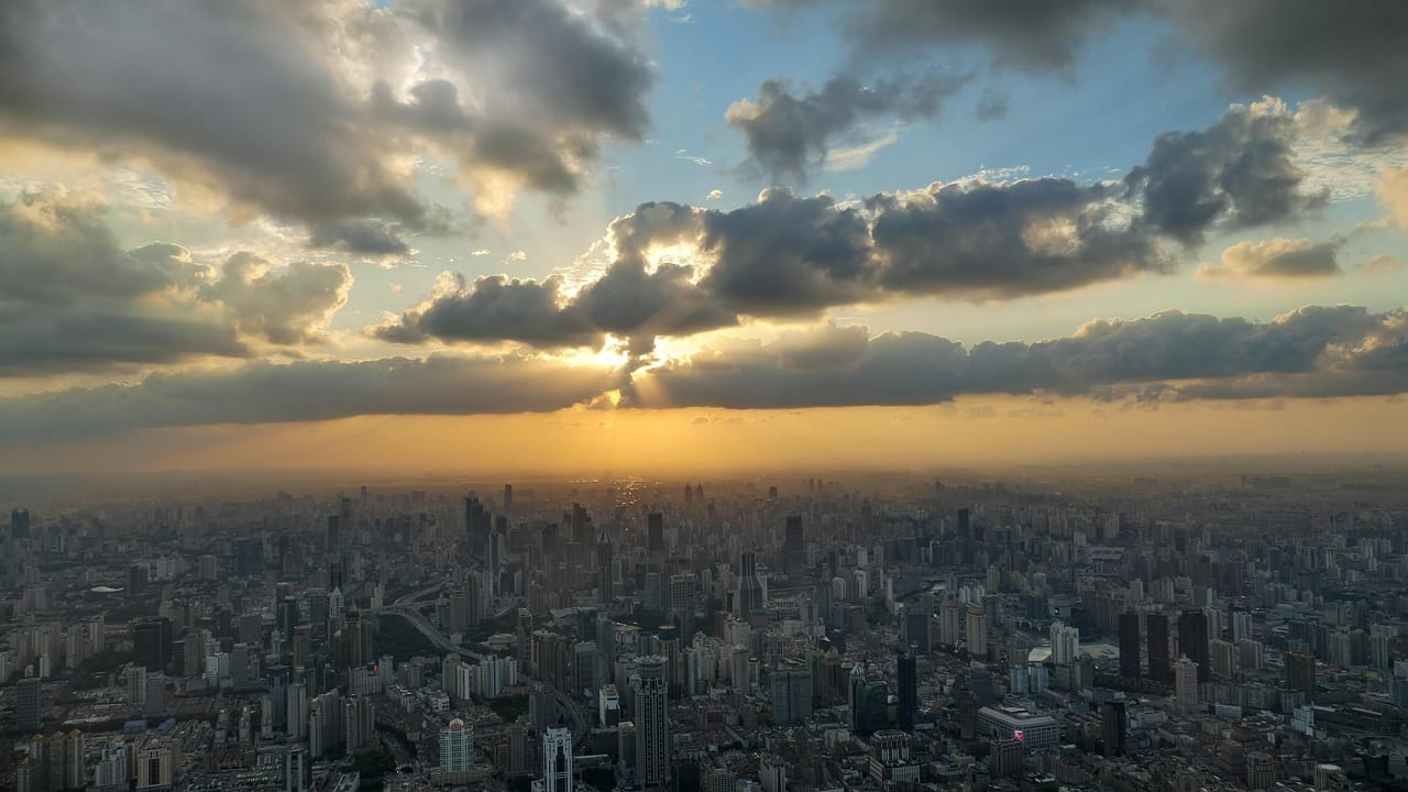 What is actually in city air?